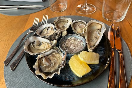 OP-10-HUITRES-CHEZ-CAMI-GAULTMILLAU-CHANNEL-GENEVE-SATIGNY