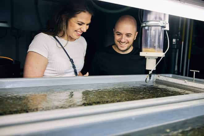 Edelkrebs AG Zucht Masu-Lachs und Äsche Sins