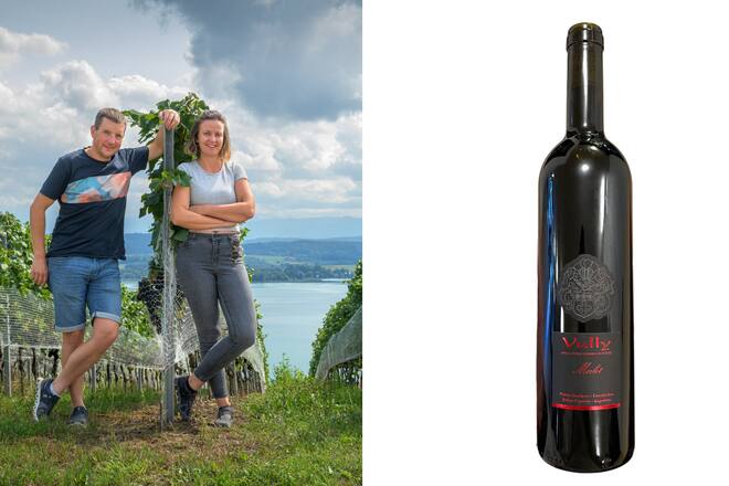 Vin du mois OVV domaine des marnes