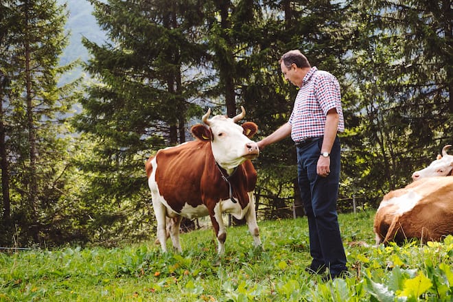 Alpkäse mit Richard Stoeckli Alpenblick Wilderswil
