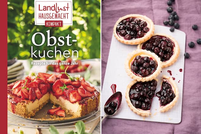 Obstkuchen.