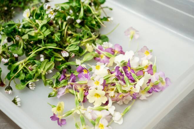 David Krueger Opera Zuerich