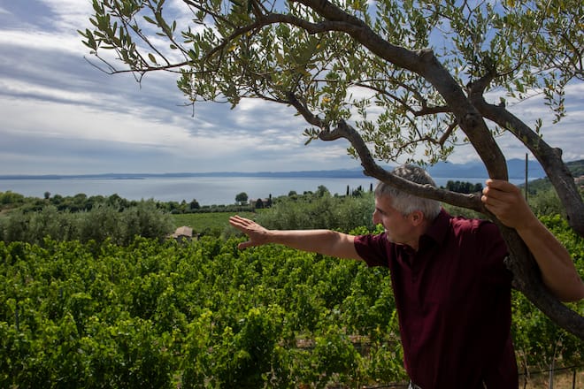 Fausto Zeni in Weinberg am Gardasee