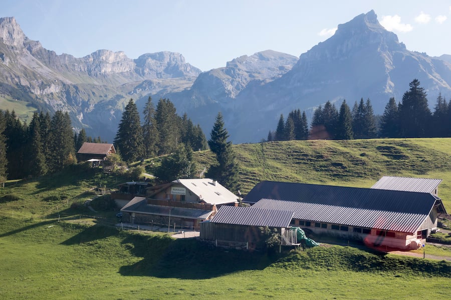 Gerschnialp, Alpkäse-Trail, Käserei; alpine cheese trail, alpine diary