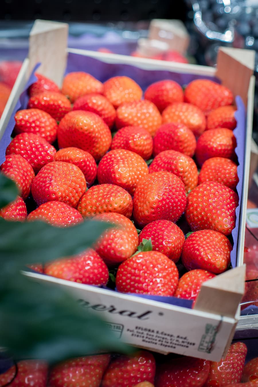 Viviane Carrere Globus Früchte & Gemüse