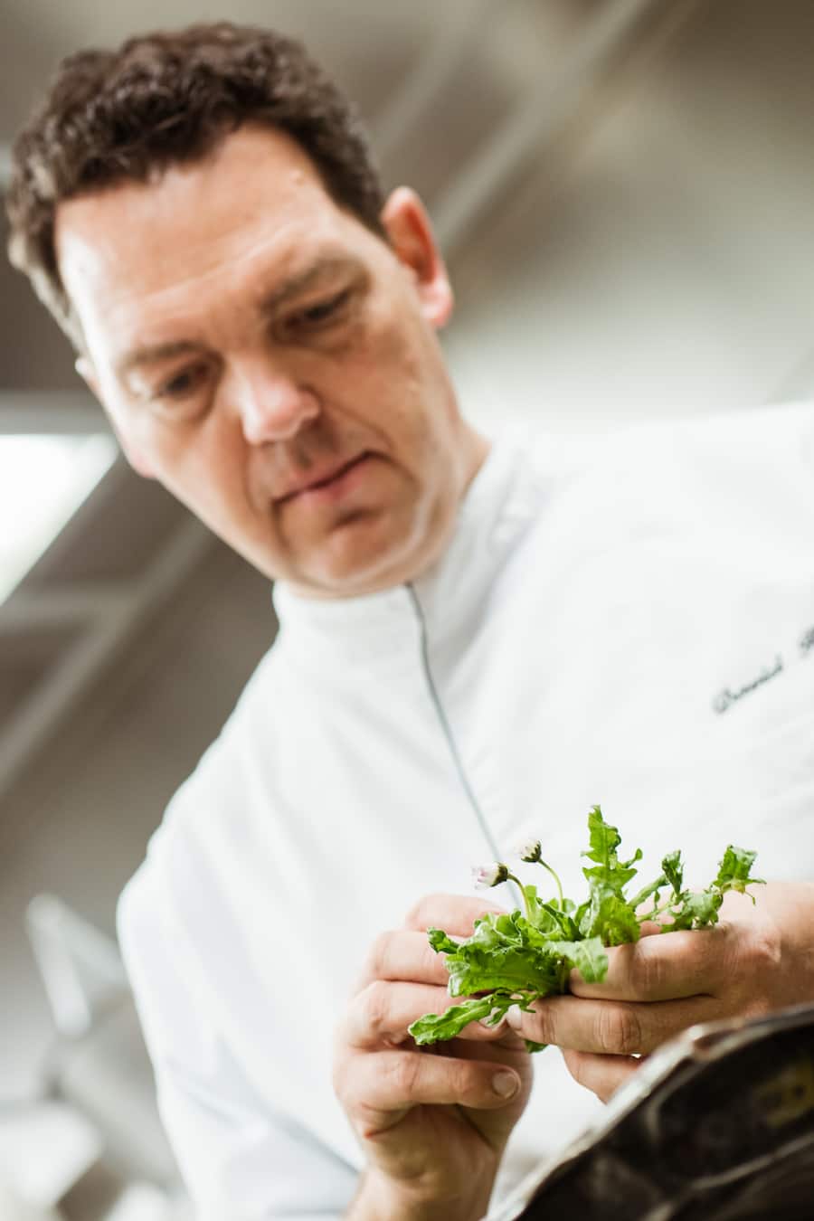 David Krueger Opera Zuerich