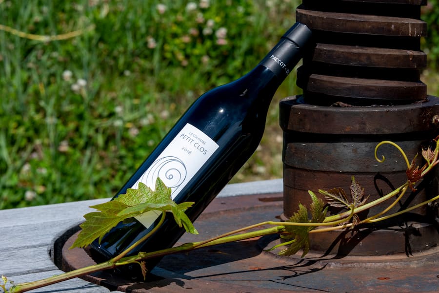 Laura Paccot La Colombe