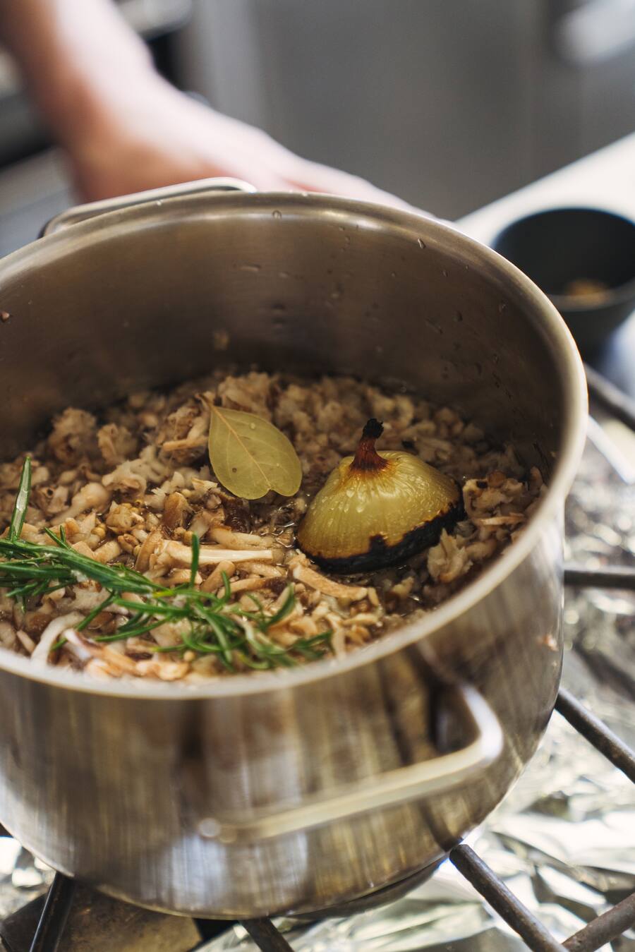 Rose Rüschlikon Tobias Buholzer