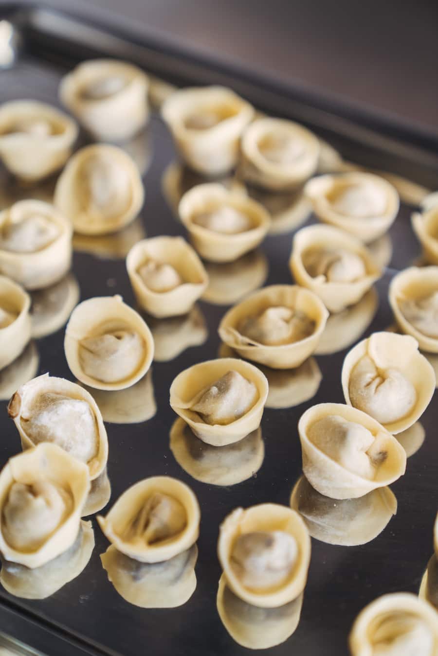 Rose Rüschlikon Tobias Buholzer