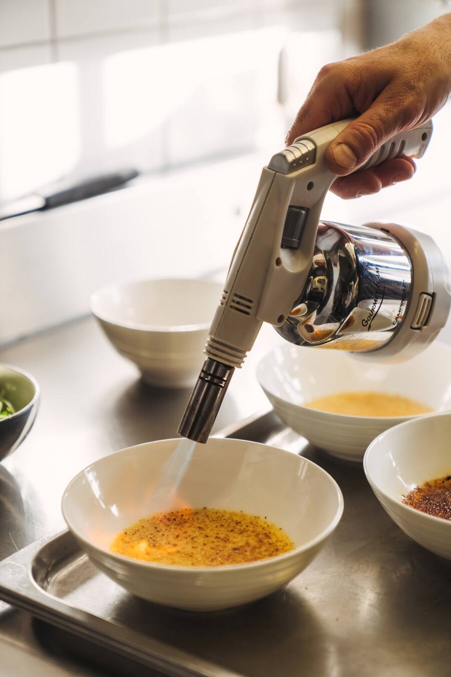 Rose Rüschlikon Tobias Buholzer