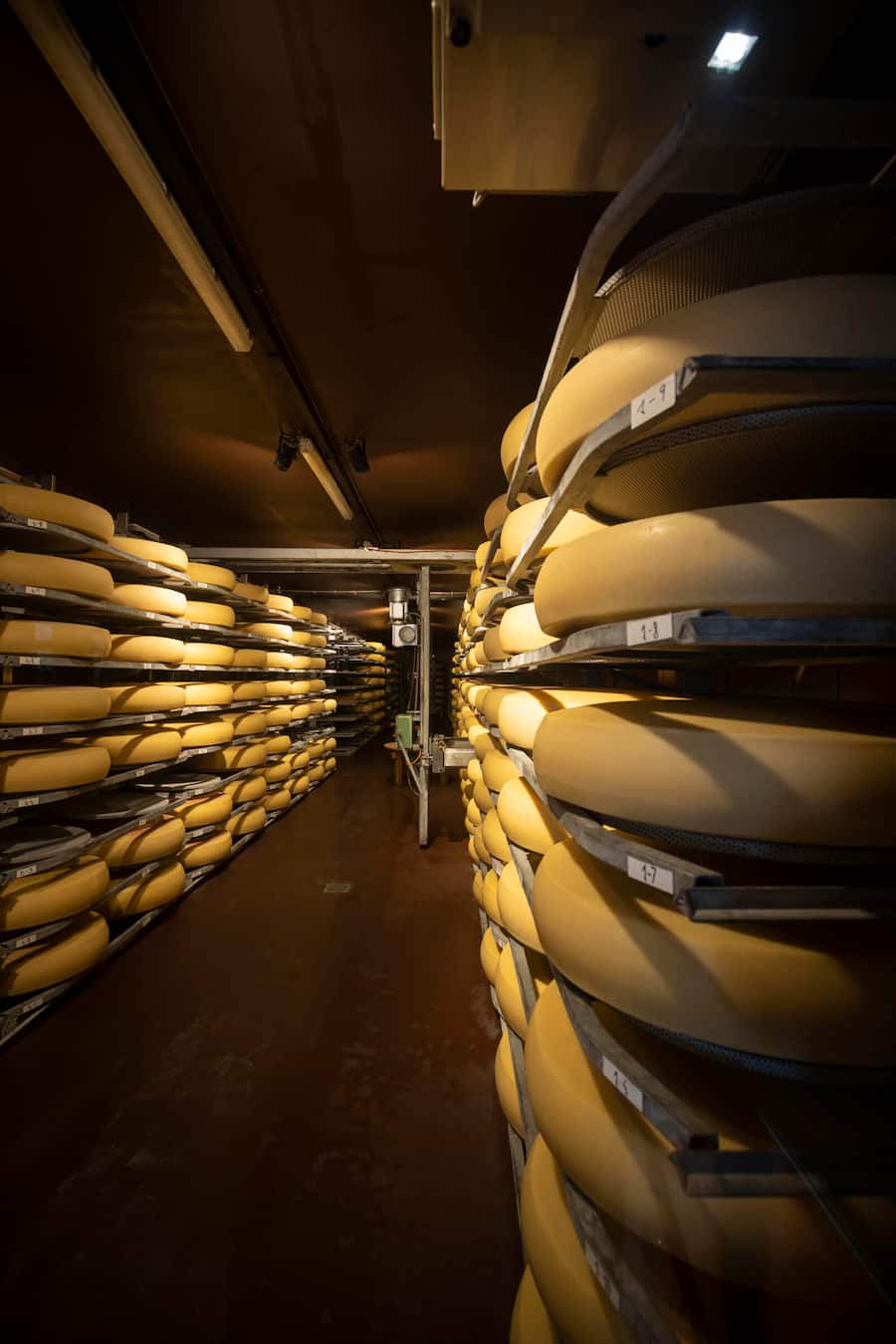 Emmentaler AOP Schaukäserei 2022