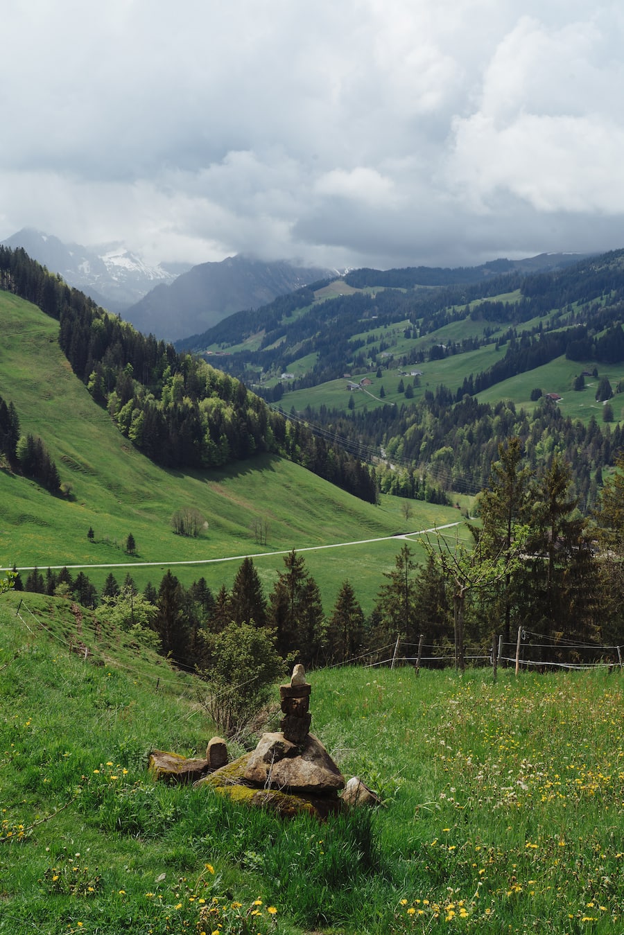 Bären Schwarzenburg Forellen Naturkreislauf