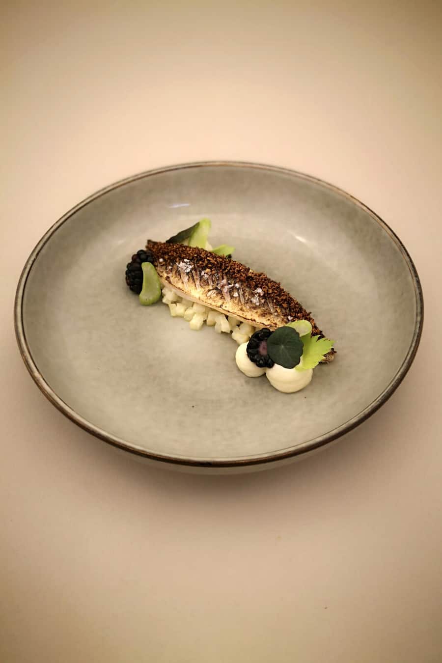 rpt Gericht: Makrele I Brombeere I Sellerie Gerichte für die Nespresso Gourmet Weeks 2023, Chef Corentin Rérat, Restaurant Repas, Biel, BE