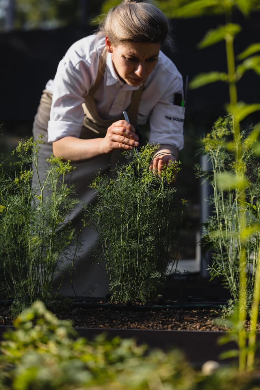 Restaurant blooms, The Dolder Grand, Zürich 2024
