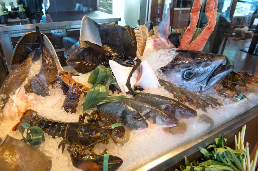 Zuerich, 12. August, 2016 -- Chef Nathan Dallimore im HATO, Zuerich. Foto: Karl-Heinz Hug SI_2016_44