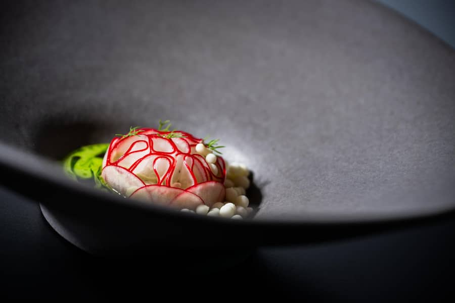 Silvio Germann, Mammertsberg 2024: Saibling Radiesschen