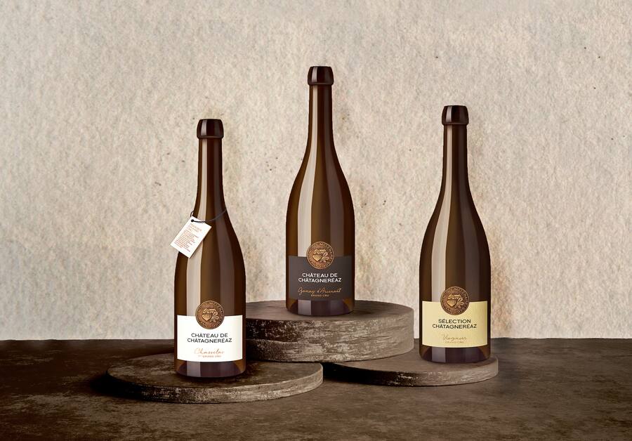 Château de Châtagneréaz