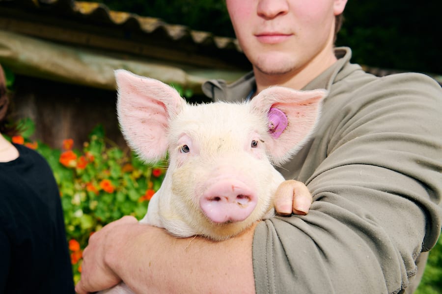 GMC Rest. Augarten Untere Steig 15, 8462 Rheinau ZHRubrik Schweizer FleischSchwestern Nicole (Gastgeberin) und Anica (Köchin) Schmid