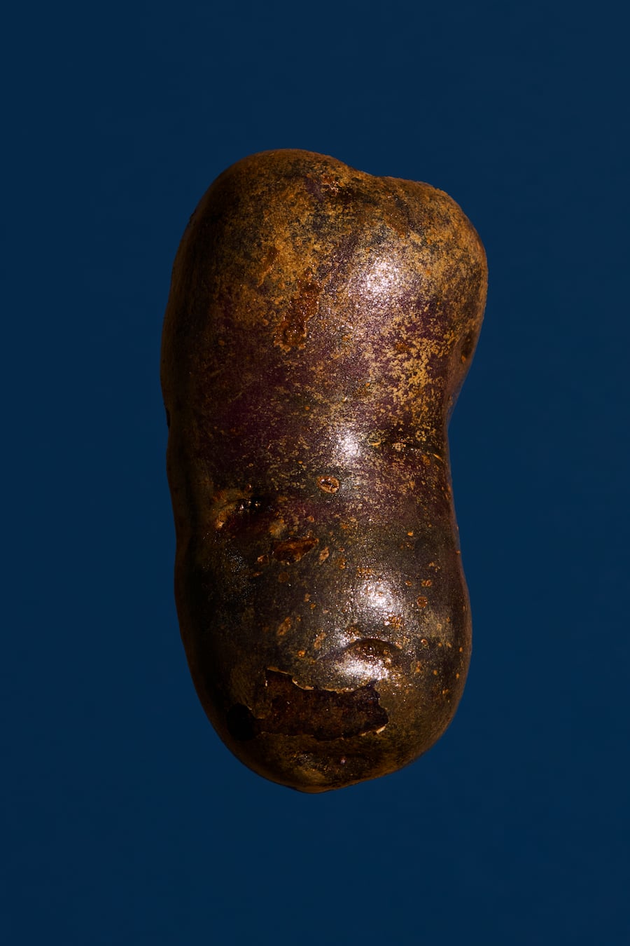 GMC Jelmoli Zürich, Kartoffeln, Bergkartoffeln aus dem Albulatal, Freddy Christandl