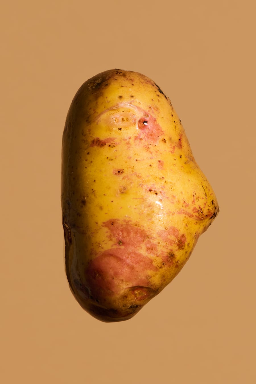 GMC Jelmoli Zürich, Kartoffeln, Bergkartoffeln aus dem Albulatal, Freddy Christandl