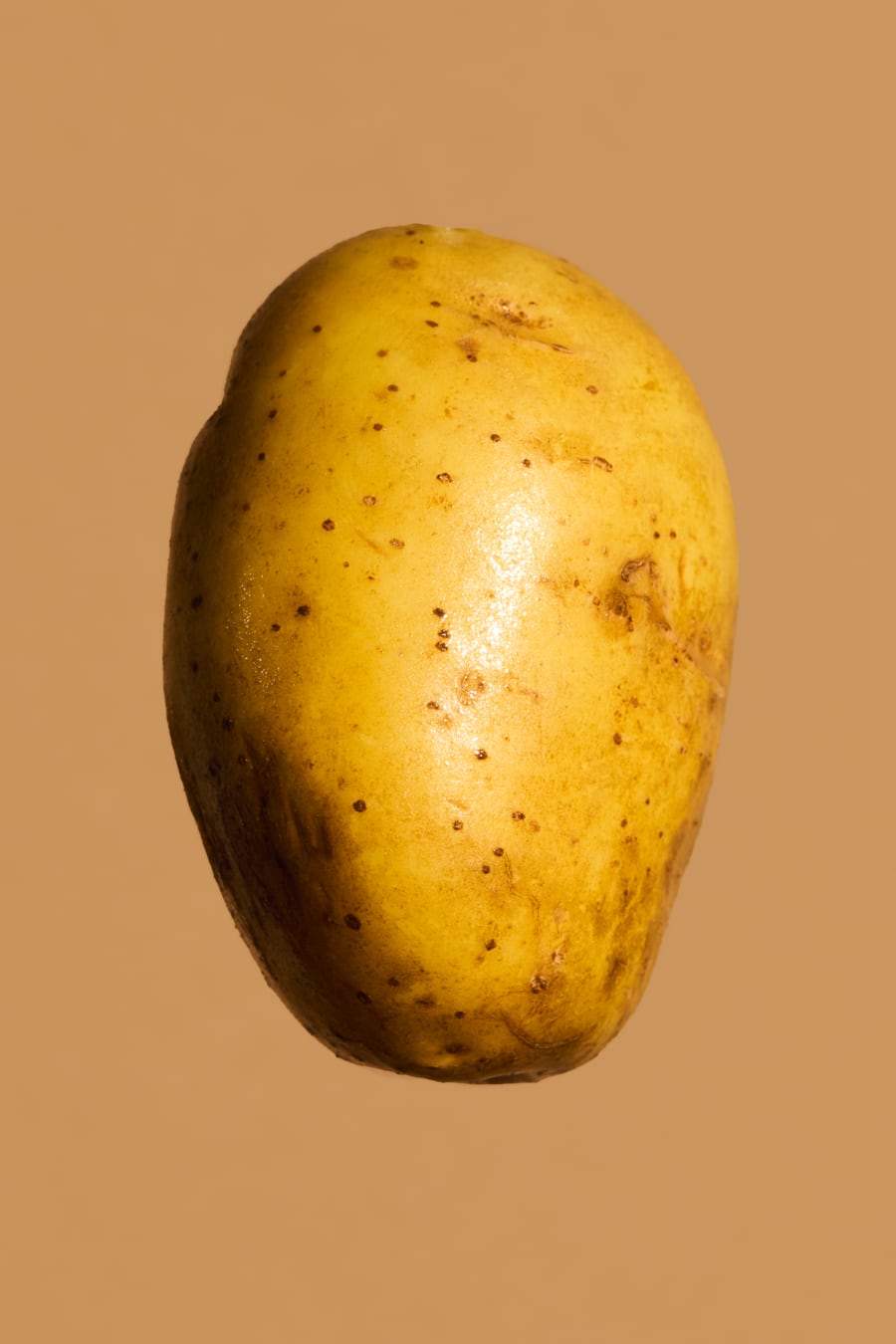 GMC Jelmoli Zürich, Kartoffeln, Bergkartoffeln aus dem Albulatal, Freddy Christandl