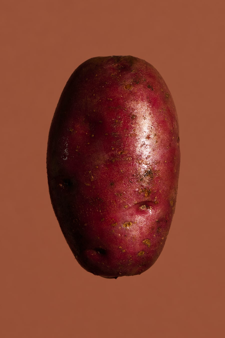 GMC Jelmoli Zürich, Kartoffeln, Bergkartoffeln aus dem Albulatal, Freddy Christandl