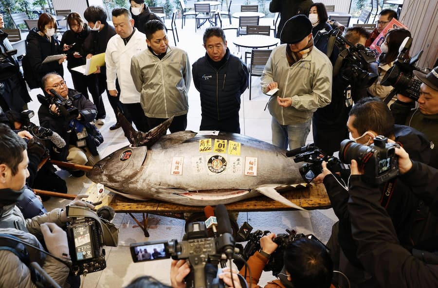 News Themen der Woche KW01 News Bilder des Tages Japan, Neujahrs-Thunfisch-Auktion in Tokio New Year tuna auction in Tokyo Photo shows a bluefin tuna that fetched 207 million yen $1.3 million during the year s first auction at the Toyosu fish market in Tokyo on Jan. 5, 2025. PUBLICATIONxINxAUTxBELxBIHxBULxCZExDENxESTxFINxFRAxGEOxGERxGRExHUNxISLxIRLxITAxLATxLTUxLUXxLIExMKDxNORxPORxPOLxROUxSVKxSUIxSRBxSLOxESPxTURxUKxUAExONLY A14AA0003943021P